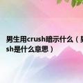 男生用crush暗示什么（男生crush是什么意思）