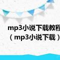 mp3小说下载教程视频（mp3小说下载）