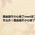 路由器不小心按了reset没了WiFi怎么办（路由器不小心按了reset）