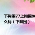 下胸围77上胸围88选什么码（下胸围）