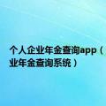 个人企业年金查询app（个人企业年金查询系统）