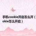 手机cookie开启怎么开（手机cookie怎么开启）