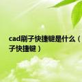 cad刷子快捷键是什么（cad刷子快捷键）