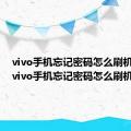 vivo手机忘记密码怎么刷机解锁（vivo手机忘记密码怎么刷机）