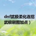 dnf武极柔化连招（dnf武极刷图加点）