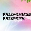 秋海棠的养殖方法和注意事项（秋海棠的养殖方法）