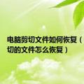 电脑剪切文件如何恢复（电脑剪切的文件怎么恢复）