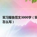 实习报告范文3000字（实习报告怎么写）