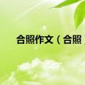 合照作文（合照）