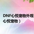 DNF心悦宠物外观（dnf心悦宠物）