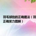 羽毛球拍的正确握法（羽毛球拍正确发力图解）