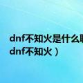 dnf不知火是什么职业（dnf不知火）