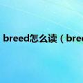 breed怎么读（breed）