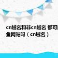 cn域名和非cn域名 都可能是钓鱼网站吗（cn域名）