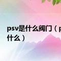 psv是什么阀门（psv是什么）