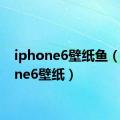 iphone6壁纸鱼（iphone6壁纸）