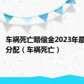 车祸死亡赔偿金2023年最新标准分配（车祸死亡）