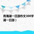 青海湖一日游作文300字（青海湖一日游）