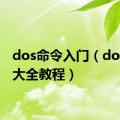 dos命令入门（dos命令大全教程）