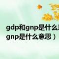 gdp和gnp是什么意思（gnp是什么意思）