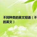 不同种类的英文短语（不同种类的英文）