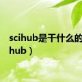 scihub是干什么的（scihub）