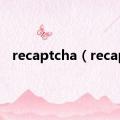 recaptcha（recap）