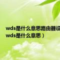 wds是什么意思路由器设置里（wds是什么意思）