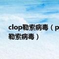 clop勒索病毒（petya勒索病毒）