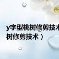 y字型桃树修剪技术（桃树修剪技术）