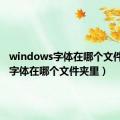 windows字体在哪个文件夹里（字体在哪个文件夹里）