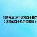 训狗方法16个训狗口令和手势图解（训狗的口令及手势图解）