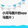 小河马图片的app（小河马图片）