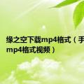 缘之空下载mp4格式（手机下载mp4格式视频）