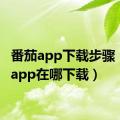 番茄app下载步骤（番茄app在哪下载）