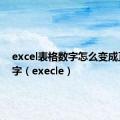 excel表格数字怎么变成正常数字（execle）