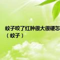 蚊子咬了红肿很大很硬怎么消除（蚊子）