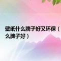 壁纸什么牌子好又环保（壁纸什么牌子好）