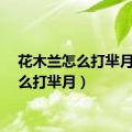 花木兰怎么打芈月（怎么打芈月）