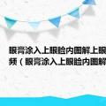 眼膏涂入上眼睑内图解上眼药膏视频（眼膏涂入上眼睑内图解）