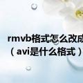 rmvb格式怎么改成mp4（avi是什么格式）