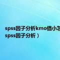 spss因子分析kmo值小怎么办（spss因子分析）