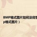 BMP格式图片如何没背景（bmp格式图片）