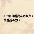 dnf怎么看战斗力多少（dnf怎么看战斗力）