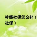 补缴社保怎么补（补缴社保）