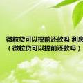 微粒贷可以提前还款吗 利息怎么还（微粒贷可以提前还款吗）