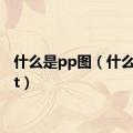 什么是pp图（什么是ppt）