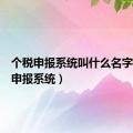 个税申报系统叫什么名字（个税申报系统）