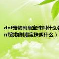 dnf宠物附魔宝珠叫什么名字（dnf宠物附魔宝珠叫什么）