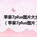 苹果7plus图片大全大图（苹果7plus图片）